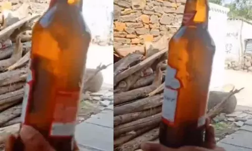 സൂക്ഷിച്ചില്ലെങ്കിൽ മദ്യക്കുപ്പികളിൽ നിന്നും പണി കിട്ടും; തെലങ്കാനയിൽ ബിയറിൽ ചത്ത പല്ലി; കുപ്പിയുമായി യുവാക്കൾ പോലീസ് സ്റ്റേഷനിലെത്തി; തെറ്റ് സംഭവിച്ചത് ബിയർ ഡിസ്റ്റിലറിയിൽ നിന്നെന്ന് വിമർശനം