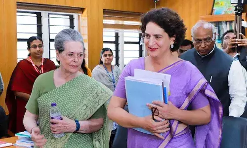 ഭര്‍ത്താവിന്റെ സ്വത്തുവിവരങ്ങളില്‍ വ്യാപക പൊരുത്തക്കേടുണ്ട്; പത്രിക സ്വീകരിക്കരുതെന്ന ബിജെപിയുടെ എതിര്‍പ്പ് തള്ളി; പിയങ്കയുടെ നാമനിര്‍ദേശ പത്രിക സ്വീകരിച്ചു