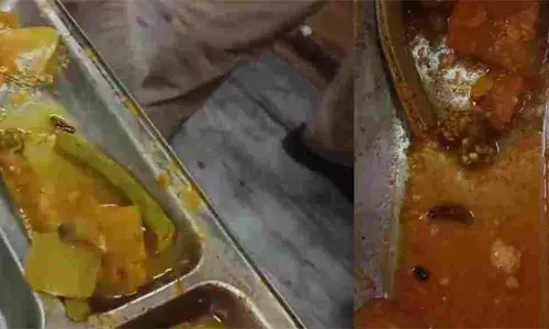 തിരുവനന്തപുരം ആര്‍സിസിയില്‍ വിതരണം ചെയ്ത ഭക്ഷണത്തില്‍ പുഴു; കിച്ചന്‍ സ്റ്റാഫിനെ പുറത്താക്കി