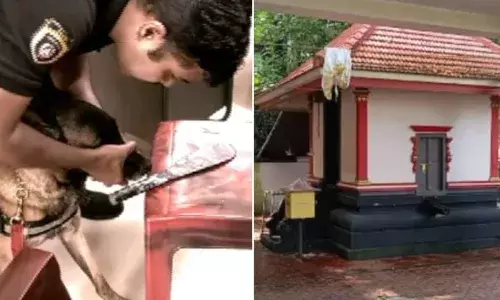 തൃശൂരില്‍ രണ്ട് ക്ഷേത്രങ്ങളില്‍ മോഷണം: വിഗ്രഹവും സ്വര്‍ണ്ണാഭരണങ്ങളും പണവും കവര്‍ന്നു