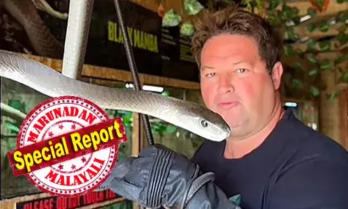 ദക്ഷിണാഫ്രിക്കയുടെ വാവ സുരേഷ് മൂര്‍ഖന്റെ കടിയേറ്റ് മരിച്ചു; പാമ്പ് പിടുത്ത വീഡിയോയകളിലൂടെ ശ്രദ്ധ നേടിയ ഗ്രഹാം ഡിങ്കോയുടെ മരണത്തില്‍ ഞെട്ടി ആരാധകര്‍; സ്റ്റീവ് ഇവ്റിന്‍ എന്നറിയപ്പെട്ട ഗ്രഹാമിന് കടിയേറ്റത് ഒരു മാസം മുന്‍പ്