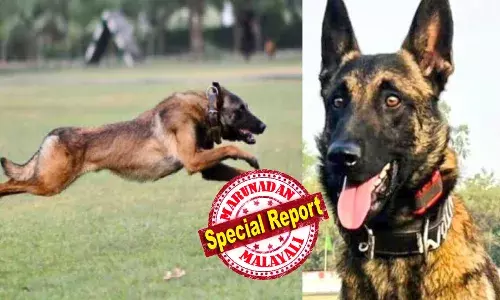 ധീരനായിരുന്നു അവന്‍ ; ഞങ്ങളുടെ ഹീറോ: അവന്റെ ധൈര്യവും വിശ്വസ്തതയും സമര്‍പ്പണബോധവും ഞങ്ങള്‍ ഒരിക്കലും മറക്കില്ല. ബിഗ് സല്യൂട്ട് ഡിയര്‍ ഫാന്റം: ഭീകരര്‍ക്കെതിരായ ദൗത്യത്തിനിടെ വീരമൃത്യു വരിച്ച സൈനിക നായയ്ക്ക് വിട