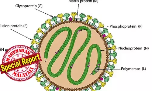 അഞ്ചാംപനിയുടെ വര്‍ഗത്തില്‍ പെട്ട പുതിയൊരു മാരക വൈറസിനെ കണ്ടെത്തിയത് ഫ്‌ളോറിഡയില്‍; മറ്റൊരു മഹാമാരി ഭയന്ന് ലോകം