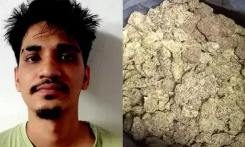 കഞ്ചാവ് കടത്തി വിൽക്കുന്നതായി രഹസ്യ വിവരം; ക്രൈംബ്രാഞ്ച് റെയ്‌ഡിൽ പിടിച്ചെടുത്തത് 30 ലക്ഷം രൂപ വിലവരുന്ന ഹൈഡ്രോ വീഡ് കഞ്ചാവ്; 23കാരൻ അറസ്റ്റിൽ