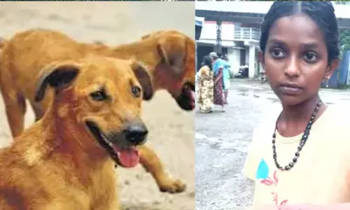 മാന്നാറില്‍ തെരുവ് നായ ആക്രമണത്തില്‍ വിദ്യാര്‍ഥിനിയുള്‍പ്പെടെ നാല് പേര്‍ക്ക് പരിക്ക്