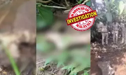 കൈ കഴുകാന്‍ തോട്ടിലിറങ്ങിയപ്പോള്‍ കണ്ടത് ഒരു കാലും നട്ടെലിന്റെയും തലയോടിന്റെയും ഭാഗങ്ങള്‍; ഉപ്പുതുറയില്‍ ആഴ്ചകള്‍ പഴക്കമുള്ള ശരീരഭാഗങ്ങള്‍; മൃതദേഹം മൂന്ന് മാസം മുന്‍പ് കാണാതായ സ്ത്രീയുടേതെന്ന് പോലീസ് നിഗമനം: ഡിഎന്‍എ പരിശോധന നിര്‍ണ്ണായകമാകും