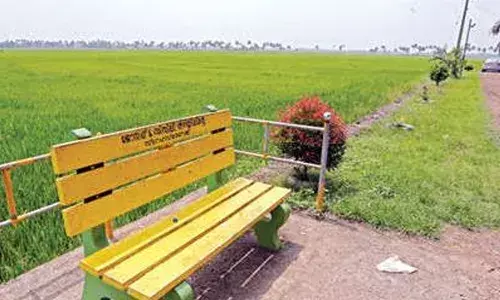 ടൂറിസ്റ്റ് കേന്ദ്രം സന്ദര്‍ശിക്കാനെത്തിയ യുവാവിനും യുവതിക്കും ഇടിമിന്നലേറ്റു; അരമണിക്കൂറോളം വഴിയില്‍ കിടന്ന ഇരുവര്‍ക്കും രക്ഷകരായത് ഓട്ടോയിലെത്തിയ യുവാക്കള്‍