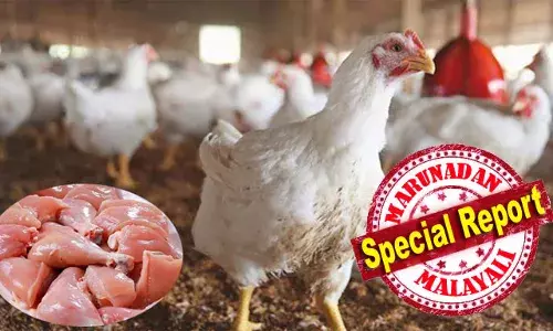 തമിഴ്നാട്ടില്‍ നിന്നും കേരളത്തിലേക്ക് സുനാമി ഇറച്ചിയുടെ വേലിയേറ്റം; വിറ്റഴിക്കുന്നത് കോള്‍ഡ് സ്റ്റോറേജുകള്‍ വഴി; ഇറച്ചി വില കൂടിയത് മാഫിയകള്‍ക്ക് തുണ