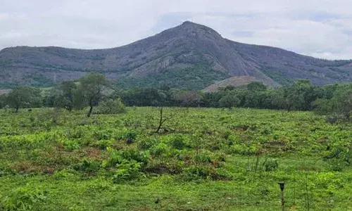 പാലക്കാട് 30 കോടിയുടെ ക്രിക്കറ്റ് സ്പോര്‍ട്സ് ഹബ് സ്റ്റേഡിയവുമായി കെസിഎ;   എല്ലാ കായിക ഇനങ്ങളും ഒരു കുടക്കിഴില്‍;  ഒരുങ്ങുന്നത് ദേവസ്വം ഭൂമിയില്‍; ജനുവരിയില്‍ നിര്‍മ്മാണം തുടങ്ങുമെന്ന് അധികൃതര്‍
