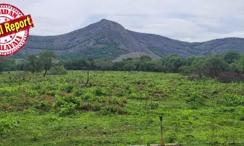 കായിക രംഗത്ത് പാലക്കാടിന്റെ പുത്തന്‍ ചുവടു വെപ്പ്; ദേവി ക്ഷേത്രം ട്രസ്റ്റിന്റെ 21 ഏക്കര്‍ സ്ഥലത്ത് ഒരുങ്ങുന്നത് 30 കോടിയുടെ സ്പോര്‍ട്സ് ഹബ്: 2027 ഏപ്പ്രിലോടെ നിര്‍മ്മാണം പൂര്‍ത്തിയാക്കും: രണ്ട് ക്രിക്കറ്റ് ഗ്രൗണ്ടുകള്‍ ഉള്‍പ്പെടെ ഒരുങ്ങുന്നത് വമ്പന്‍ പദ്ധതി: പദ്ധതിയുമായി കേരള ക്രിക്കറ്റ് അസോസിയേഷന്‍