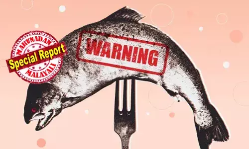 തിന്നത് മൊത്തം വിഷമീനോ? യുകെ മലയാളികള്‍ നെഞ്ചത്ത് കൈവച്ചു ചോദിക്കേണ്ട ചോദ്യവുമായി ഐ ദിനപത്രം; കടല്‍ക്കൂടുകളില്‍ വളരുന്ന സാല്‍മണ്‍ മത്സ്യങ്ങള്‍ രോഗവാഹികള്‍ ആയേക്കാമെന്ന റിപ്പോര്‍ട്ട് ഓഫര്‍ വിലക്കുറവുമായി മീന്‍ കടകളില്‍ എത്തുമ്പോള്‍ ഫ്രീസര്‍ നിറയ്ക്കുന്ന മലയാളികള്‍ക്കുള്ള മുന്നറിയിപ്പ്