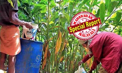 ഇടുക്കിയിലെ തോട്ടം മേഖലയിലേക്ക് നിരോധിത കീടനാശിനികള്‍ ഒഴുകുന്നു; തമിഴ്നാട്ടിലെ മൊത്ത വ്യാപാര കേന്ദ്രങ്ങളില്‍ നിന്ന് അതിര്‍ത്തി ഗ്രാമങ്ങളിലേക്കെത്തുന്നു; കീടനാശിനികള്‍ എത്തിക്കുന്നത് ഏലത്തോട്ടങ്ങളില്‍ എ്ത്തുന്ന കണ്‍സല്‍ട്ടന്റുമാര്‍