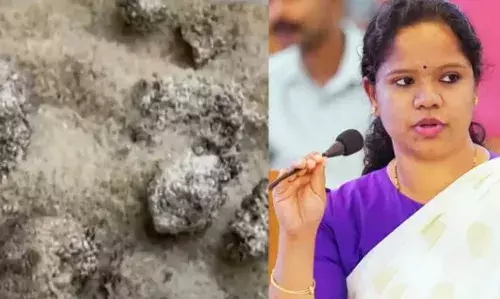 ഭക്ഷ്യവസ്തുക്കളുടെ ഗുണമേന്മ ഉറപ്പുവരുത്തണം..; മേപ്പാടിയിൽ ഭക്ഷ്യക്കിറ്റിൽ പുഴുവിനെ കണ്ടെത്തിയ സംഭവത്തിൽ നടപടി; അന്വേഷണത്തിന് ഉത്തരവിട്ട് കളക്‌ടർ