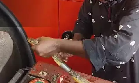 കഴുത്തില്‍ സ്റ്റീല്‍ പൈപ്പ് കുടുങ്ങിയ നിലയില്‍ ചേര പാമ്പ്; മരണവെപ്രാളത്തിൽ കഴിഞ്ഞത് മൂന്നാഴ്ചയോളം; ഒടുവിൽ പാമ്പിന് രക്ഷ..!