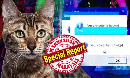 ബംഗാൾ പൂച്ചകൾ ഓസ്‌ട്രേലിയയിൽ നിയമവിരുദ്ധമാണോ?; കമ്പ്യൂട്ടറിൽ ഈ ആറ് വാക്കുകൾ ടൈപ്പ് ചെയ്യരുത്; എങ്കിൽ പണി ഉറപ്പ്; ഹാക്കർമാർ ലക്ഷ്യമിടുന്നത് ആരെ?; മുന്നറിയിപ്പ്..!