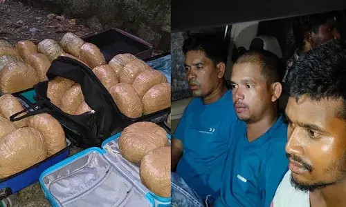 ട്രോളി ബാഗുകളിലാക്കി കഞ്ചാവുമായി എത്തി; ഒഡിഷയില്‍ നിന്നും കഞ്ചാവുമായി എത്തിയ ഏഴംഗ സംഘം അറസ്റ്റില്‍: പിടികൂടിയത് 57 കിലോ കഞ്ചാവ്