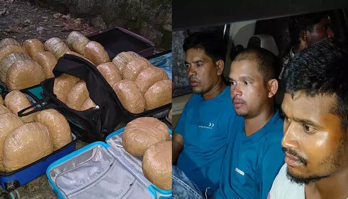 ട്രോളി ബാഗുകളിലാക്കി കഞ്ചാവുമായി എത്തി; ഒഡിഷയില്‍ നിന്നും കഞ്ചാവുമായി എത്തിയ ഏഴംഗ സംഘം അറസ്റ്റില്‍: പിടികൂടിയത് 57 കിലോ കഞ്ചാവ്