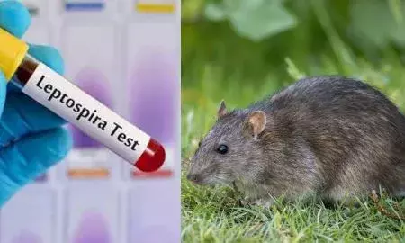 തിരുവനന്തപുരത്ത് എലിപ്പനി ബാധിച്ച് അന്യസംസ്ഥാന തൊഴിലാളി മരിച്ചു; രണ്ടുപേർ ചികിത്സയിൽ; ജാഗ്രത പാലിക്കണമെന്ന് അധികൃതർ