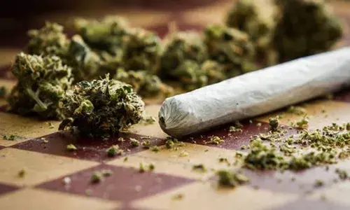 ഇടവേളയ്ക്ക് ശേഷം തമിഴ്നാട്ടില്‍ നിന്ന് കേരളത്തിലേക്ക് കഞ്ചാവ് കടത്ത്; കാരിയര്‍മാര്‍ സ്ത്രീകള്‍