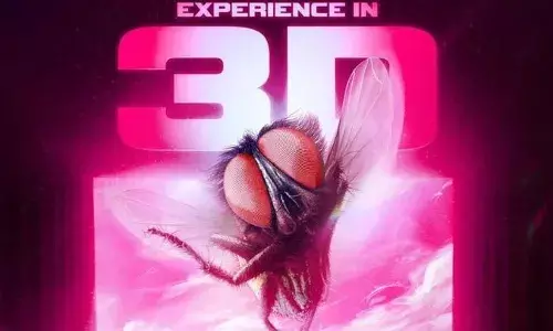 മാത്യു തോമസിന് നായികയായി ഈച്ച; ശ്രദ്ധ നേടി ഫാന്‍റസി കോമഡി ഡ്രാമ ലൗലി യുടെ പുതിയ പോസ്റ്റർ