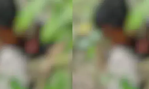 പെരുമ്പാവൂരിൽ യുവാവിനെ മരത്തിൽ തൂങ്ങിമരിച്ച നിലയിൽ കണ്ടെത്തി; അന്യസംസ്ഥാനത്തൊഴിലാളിയെന്ന് സംശയം; അന്വേഷണം തുടങ്ങി