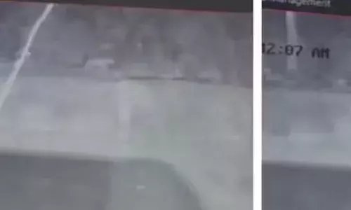 ഡാം പരിസരത്ത് പുലിയോട് സാമ്യമുള്ള ജീവി; ദൃശ്യങ്ങൾ പുറത്ത്; കടുത്ത ഭീതിയിൽ നാട്ടുകാർ; പരിശോധന ശക്തമാക്കി വനം വകുപ്പ്