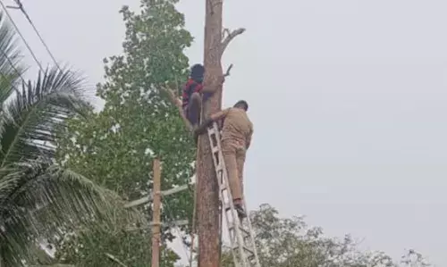 മരംമുറിക്കുന്നതിനിടയിൽ അപകടം; തൊഴിലാളിയുടെ കൈ ഒടിഞ്ഞ് മരത്തിൽ കുടുങ്ങി; ഒടുവിൽ രക്ഷകരായി ഫയർഫോഴ്സ്