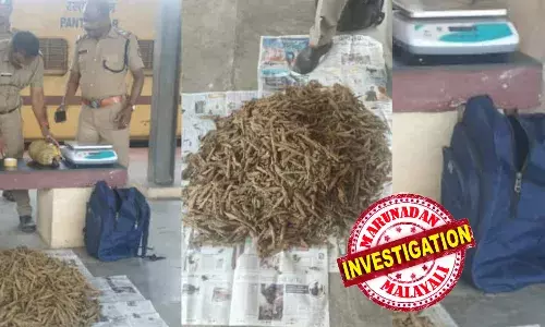 ഉപേക്ഷിക്കപ്പെട്ട നിലയില്‍ നീല ബാഗ്, ഉടമസ്ഥനില്ല: സംശയം തോന്നിയ പൊലീസ് ബാഗ് പരിശോധിച്ചപ്പോള്‍ കിട്ടിയത് കഞ്ചാവ്; ബാഗില്‍ നിന്ന് കിട്ടിയത് 10 കിലോ കഞ്ചാവ്; സംഭവം തൃശൂര്‍ റെയില്‍വേ സ്റ്റേഷനില്‍