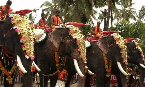 ആനകള്‍ തമ്മിലുള്ള  അകലം മൂന്ന്  മീറ്റര്‍; ആനയുടെ ആരോഗ്യ സര്‍ട്ടിഫിക്കറ്റ് അടക്കമുള്ള എല്ലാ രേഖകളും ഉറപ്പാക്കണം; ഒരു മാസം മുമ്പ് അപേക്ഷ നല്‍കണം; തുടര്‍ച്ചയായി മൂന്ന് മണിക്കൂറില്‍ കൂടുതല്‍ ആനയെ എഴുന്നള്ളത്തില്‍ നിര്‍ത്തരുത്; ആന എഴുന്നള്ളിപ്പില്‍ മാര്‍ഗനിര്‍ദേശവുമായി ഹൈക്കോടതി