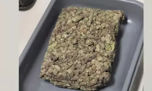 പരിശോധനയിൽ ബാഗിൽ സൂക്ഷിച്ച 14.952 ഗ്രാം ഹൈബ്രിഡ് കഞ്ചാവ് കണ്ടെടുത്തു; വിദേശത്ത് നിന്നെത്തിയ യുവാക്കൾ കസ്റ്റംസിന്റെ പിടിയിൽ