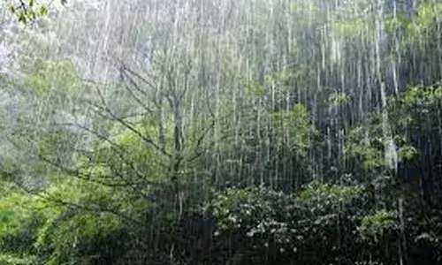 സംസ്ഥാനത്ത് ഇന്നും ശക്തമായ മഴയ്ക്ക് സാധ്യത; മൂന്ന് ജില്ലകളില്‍ യെല്ലോ അലേര്‍ട്ട്