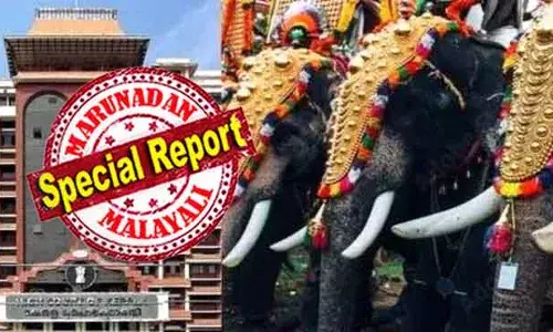രണ്ട് എഴുന്നള്ളിപ്പുകള്‍ക്കിടയില്‍ ആനകള്‍ക്ക് 24 മണിക്കൂര്‍ വിശ്രമം വേണമെന്ന നിബന്ധനയും അപ്രായോഗികം; 36 മണിക്കൂര്‍ നീണ്ട തൃശൂര്‍ പൂരത്തില്‍ ഈ നിര്‍ദേശം പാലിക്കണമെങ്കില്‍ ഇരട്ടി ആനകള്‍ വേണ്ടി വരും; ആനയെഴുന്നള്ളിപ്പില്‍ അപ്പീല്‍ ആലോചനയില്‍ സര്‍ക്കാര്‍
