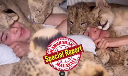 പൂച്ചക്കുഞ്ഞുങ്ങളെപോലെ ഇണങ്ങി യുവതിയുടെ കിടക്കയിൽ നാല് സിംഹക്കുഞ്ഞുങ്ങൾ; അമ്മയെപ്പോലെ ലാളിച്ച് യുവതി; കെട്ടിപ്പിടിച്ചും മുത്തം നൽകിയും കുഞ്ഞുങ്ങളുടെ സ്നേഹപ്രകടനം; ഏറ്റെടുത്ത് സോഷ്യൽ ലോകം; ഫ്രേയക്ക് പറയാനുള്ളത് അതിജീവനകഥ..!