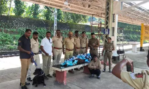 തിരുവല്ല റെയില്‍വേ സ്റ്റേഷനില്‍ 20 കിലോഗ്രാം പാന്‍ മസാലയുമായി ഒരാള്‍ പിടിയില്‍; നിര്‍ണായകമായത് സാമന്ത എന്ന പോലീസ് നായയുടെ ഇടപെടല്‍
