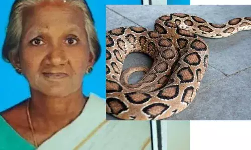 പാമ്പുകടിയേറ്റ് ചികിത്സയിലായിരുന്ന വയോധിക മരിച്ചു; കടിച്ചത് അണലി; സംഭവം പാലക്കാട്