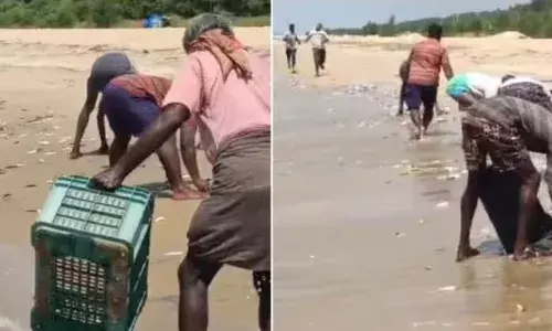 എല്ലാരും ഓടിവായോ ദാ..തീരത്ത് പെടക്കണ മത്തി; പഞ്ചവടി ബീച്ചിനെ ആവേശത്തിലാഴ്ത്തി മത്തി ചാകര; പെറുക്കിയെടുത്ത് നാട്ടുകാർ; വീഡിയോ വൈറൽ..!