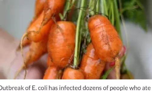 ഗ്രിംവേ ഫാംസ് ഓര്ഗാനിക് കാരറ്റ് കഴിച്ചതിനെ തുടര്ന്നു ഒരു മരണം ഡസന് കണക്കിന് ആളുകള്ക്ക് അണുബാധ ഗ്രിംവേ ഫാംസ് ഓര്ഗാനിക് കാരറ്റ് കഴിച്ചതിനെ തുടര്ന്നു ഒരു മരണം ഡസന് കണക്കിന് ആളുകള്ക്ക് അണുബാധ