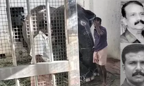 പഴം നല്‍കിയതിന് ശേഷം തുടര്‍ച്ചയായി സെല്‍ഫി, ഇഷ്ടപ്പെടാതിരുന്ന ആന തുമ്പികൈ കൊണ്ട് അടിച്ച് വീഴ്ത്തി ചവിട്ടി കൊന്നു; പാപ്പാനും ബന്ധുവിനും ദാരുണാന്ത്യം