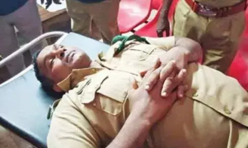 കൃഷി നശിപ്പിച്ചതായി വിവരം; കാട്ടാനയെ തിരഞ്ഞ് വനം വകുപ്പ് ഉദ്യോഗസ്ഥരെത്തി; മുളങ്കാട്ടിൽ മറഞ്ഞിരുന്ന കാട്ടാനയുടെ ആക്രമണത്തിൽ വനപാലകന് പരിക്ക്