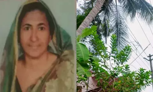 വൈദ്യുതി കമ്പിയിൽ തട്ടി ഷോക്കേറ്റ് വീട്ടമ്മ മരിച്ചു; അപകടം ഇരുമ്പ് തോട്ടി ഉപയോഗിച്ച് തേങ്ങയിടുന്നതിനിടെ; സംഭവം പത്തനാപുരത്ത്
