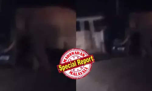 വീണ്ടും പടയപ്പയുടെ വിളയാട്ടം; മൂന്നാർ-മറയൂർ അന്തർ സംസ്ഥാന പാതയിൽ വാഹനങ്ങൾ തടഞ്ഞും സഞ്ചാരികളെ വിരട്ടിയോടിച്ചും കാട്ടാന ഭീതി പടർത്തി; ഓട്ടോറിക്ഷ തകര്‍ത്തു; വിനോദ സഞ്ചാരികൾ രക്ഷപ്പെട്ടത് തലനാരിഴക്ക്