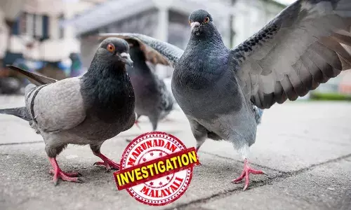 പ്രാവ് വീടിനകത്തേക്ക് പറന്നുകയറി; പ്രാവിനെ തിരക്കി വീട്ടുകാർ പിന്നാലെ; മടക്കി കൊടുക്കില്ലെന്ന് വാശി; തർക്കം വാക്കേറ്റത്തിലും കയ്യേറ്റത്തിലേക്കും നീങ്ങി; കലാശിച്ചത് വെടിവെയ്പ്പിൽ; സ്ത്രീ അടക്കം എട്ട് പേർക്ക് ഗുരുതര പരിക്ക്; ഏഴ് പേർ പിടിയിൽ; സംഭവം യുപി യിൽ