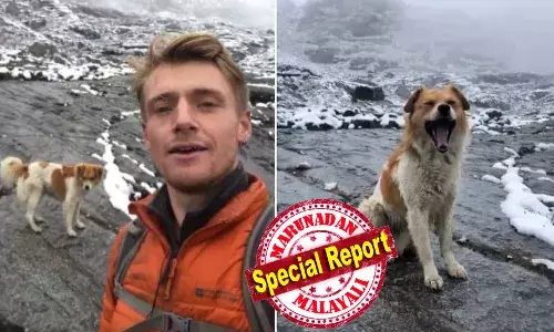 സാഹസിക യാത്രികന്‍ കുരുങ്ങിയത് സമുദ്രനിരപ്പില്‍ നിന്ന് 15,000 അടി; വഴി തെറ്റി ഉറ്റപ്പെട്ടത് മണിക്കൂറുകള്‍; തിരികെ ക്യാമ്പിലെത്താന്‍ വഴികാട്ടിയായത് തെരുവ് നായ; ഇവരില്‍ നിന്ന് ആത്മാര്‍ത്ഥ കണ്ടെത്താനാകുമെന്ന് വീഡിയോക്ക് കമന്റ്