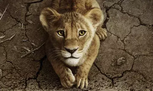 മുഫാസ എത്തുന്നു; ഇന്ത്യന്‍ ഭാഷകളില്‍ സിംഹ രാജാവിന് ശബ്ദമായി എത്തുന്നത് ഷാരൂഖ് ഖാനും മഹേഷ് ബാബുവും