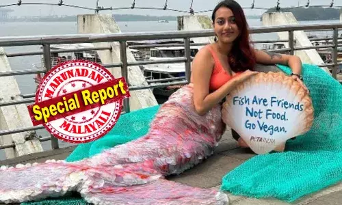 മത്സ്യങ്ങൾക്ക് നല്ല ബുദ്ധിയുണ്ട്; അവയെ ഭക്ഷിക്കരുത്; അവർക്കും വേദനയുണ്ട്; ലോക വീഗന്‍ മാസത്തില്‍ സന്ദേശവുമായി കടൽ റാണി; കൗതുകത്തോടെ നോക്കി നിന്ന് ആളുകൾ; സസ്യാഹാരത്തിലേക്ക് മാറാനും ഉപദേശം; കൊച്ചിയില്‍ വൈറലായി മത്സ്യകന്യക..!