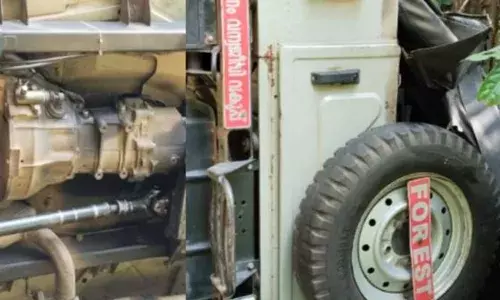 വനപാലകര്‍ സഞ്ചരിച്ച ജീപ്പ് കാട്ടാന ഇടിച്ചുമറിച്ചിട്ടു; നിലവിളിച്ച് ആളുകൾ; രണ്ട് പേർക്ക് പരിക്ക്; രക്ഷപ്പെട്ടത് തലനാരിഴക്ക്; സംഭവം ചാലക്കുടിയിൽ