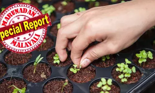 ചാണകത്തിനും കോഴിക്കാഷ്ഠത്തിനും വില 125-130 വരെ, പണിക്കൂലി ചിലവ് 1,000-1,200 രൂപ; ജൈവ കീടനാശിനിയുടെ വിലക്കയറ്റവും കര്‍ഷകര്‍ക്ക് തിരിച്ചടിയായി, ഉത്പന്നങ്ങള്‍ക്ക് ന്യായവില കിട്ടുന്നില്ല, ജൈവമെന്ന പേരില്‍ രാസവളം ഉപയോഗിച്ച പച്ചക്കറികളും കര്‍ഷകര്‍ക്ക് തിരിച്ചടി; സര്‍ക്കാര്‍ ഇടപെടലും ഫലം കണ്ടില്ല: ജൈവ കര്‍ഷകര്‍ പ്രതിസന്ധിയില്‍