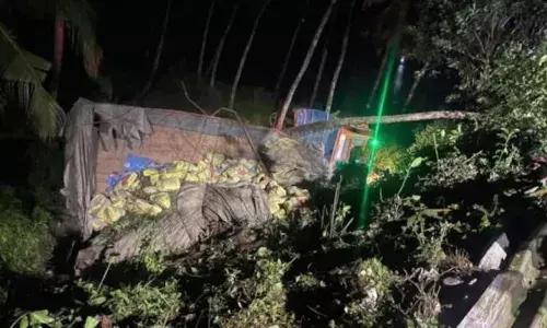 റോഡിന്റെ കൈവരികള്‍ തകര്‍ത്ത് 30 അടി താഴ്ചയിലേക്ക് ലോറി മറിഞ്ഞ് അപകടം; ലോഡുമായി വന്ന ലോറിയാണ് അപകടത്തിൽപ്പെട്ടത്; ഡ്രൈവര്‍ക്ക് ഗുരുതര പരിക്ക്