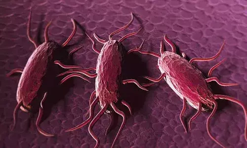 ലിസ്റ്റീരിയ ബാധിച്ച് കുട്ടി മരിച്ചു;11 പേര്ക്ക് രോഗ ബാധ; യു ഷാങ് ഫുഡില് നിന്നുള്ള റെഡി-ടു-ഈറ്റ്-മാംസം തിരിച്ചു വിളിച്ചു ലിസ്റ്റീരിയ ബാധിച്ച് കുട്ടി മരിച്ചു;11 പേര്ക്ക് രോഗ ബാധ; യു ഷാങ് ഫുഡില് നിന്നുള്ള റെഡി-ടു-ഈറ്റ്-മാംസം തിരിച്ചു വിളിച്ചു