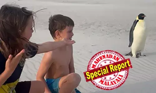 അന്‍റാര്‍റ്റിക്കയില്‍ നിന്ന് ഗസ് സഞ്ചാരം തുടങ്ങി; താണ്ടിയത് 3,200 കിലോമീറ്റര്‍ ദൂരം; കരയിലൂടെയും കടലിലൂടെയും യാത്ര നീണ്ടു; നേരെ എത്തിയത് ഓസ്ട്രേലിയയിൽ; ഞെട്ടലോടെ ശാസ്ത്രലോകം; ഇത് ചരിത്രത്തിൽ ആദ്യം; ദിവസങ്ങൾക്ക് ശേഷം തിരികെ വിട്ടു; ലോകത്തെ അത്ഭുതപ്പെടുത്തി ഒരു പെന്‍ഗ്വിൻ..!